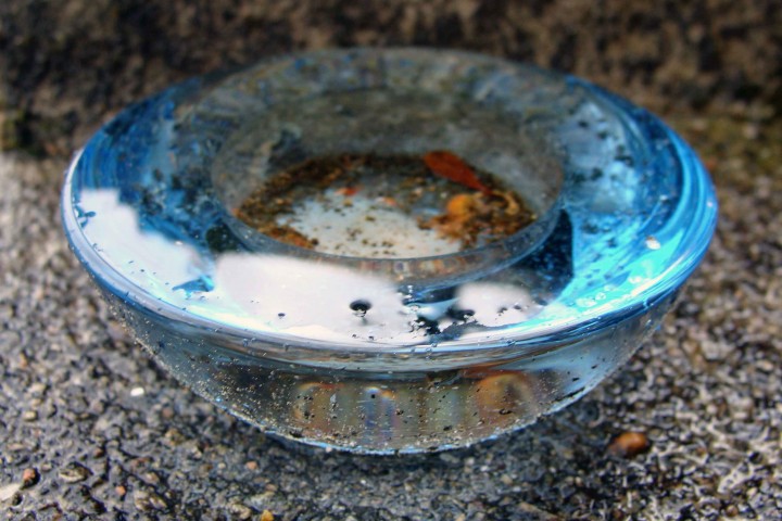 Little bowl of water ...
